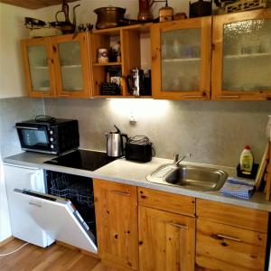 eine Küche mit einer Spüle und einer Mikrowelle in der Unterkunft Dobra Chata V Dobre in Frýdek-Místek