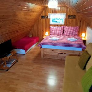 1 dormitorio con 1 cama y TV en una habitación en Dobra Chata V Dobre en Frýdek-Místek