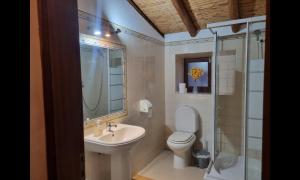 a bathroom with a sink and a toilet and a shower at Lemontree house set in the countryside. in Água de Tábuas