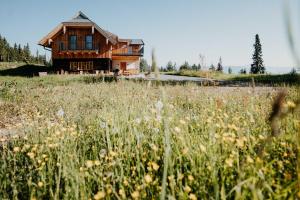 dom na wzgórzu z polem kwiatów w obiekcie Chalet Knappenhütte w Villach