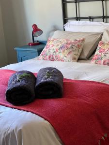 un paio di scarpe poggiate sopra un letto di Tuinhuis a Oudtshoorn Altre 21 foto