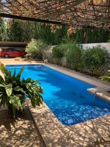 uma piscina azul com uma planta num quintal em Chalet con piscina privada em Blanca