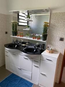 bagno con lavandino e specchio di Le refuge d'Aiden a La Plaine-des-Palmistes