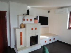 a living room with a fireplace and a tv at Hisa Haasberg in Planina