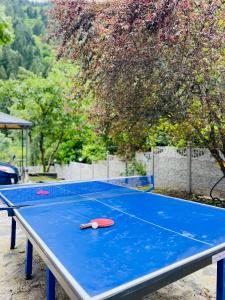una mesa de ping pong azul con dos murciélagos. en Serenity Likani Villa Hotel, en Borjomi