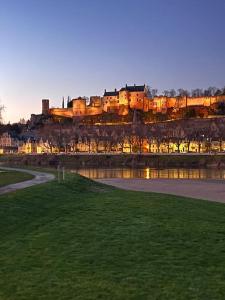a view of a city with a castle on a hill at La tour de l Horloge, appt typique à 500m du château in Chinon