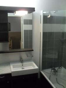 ein Bad mit einem Waschbecken, einer Dusche und einem Spiegel in der Unterkunft Terrasses de Labrau - Res piscine in Allos