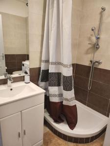 ein Bad mit einer Dusche, einem WC und einem Waschbecken in der Unterkunft Appartement sandonato in Clermont-lʼHérault