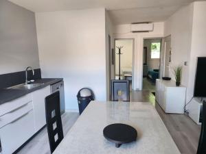 a kitchen and living room with a sink and a table at Appartement sandonato in Clermont-lʼHérault