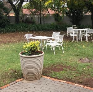 a bunch of chairs and tables and a pot with a plant at Pecan Tree Parys in Parys