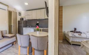 Kuchyň nebo kuchyňský kout v ubytování Mobile Home Rojnic