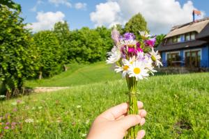 a person holding a bunch of flowers in a field at Casele cu Stuf B&B Haus Ulrike in Sălicea
