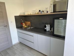 a kitchen with a counter with a sink and a microwave at Rudice romantický apartmán in Nezdenice