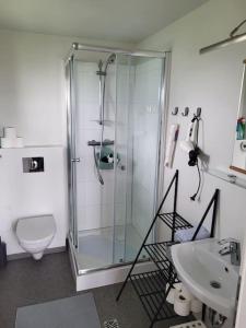 uma casa de banho com um chuveiro, um WC e um lavatório. em Hólar Countryside Cabin 2 em Selfoss