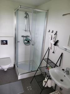 a bathroom with a shower and a toilet and a sink at Hólar Countryside Cabin 2 in Selfoss