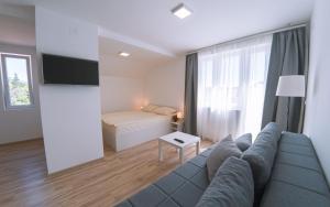 a living room with a couch and a bed at Smeštaj Milutinn, centar Sokobanje, iza Miloševog konaka in Soko Banja