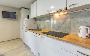 Kuchyň nebo kuchyňský kout v ubytování Mobile Home Rojnic