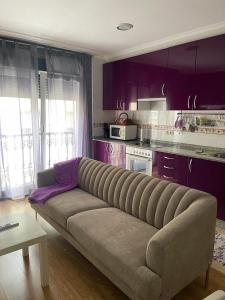ルーゴにあるPenínsula de la pazの紫色のキャビネット付きのキッチン(ソファ付)
