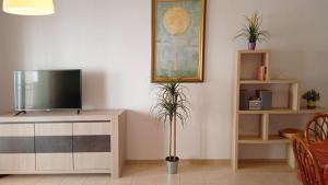 TV a/nebo společenská místnost v ubytování Apartamentos Capricho 3000