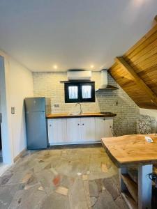 a kitchen with a refrigerator and a sink in it at Unique wooden villa with pool in Olympiada