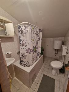uma casa de banho com uma cortina de chuveiro, um WC e um lavatório. em Apartments Palma em Gradac