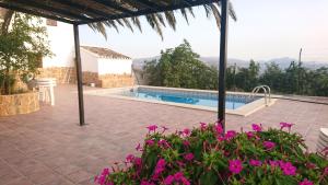 Bazén v ubytování Gîte rural 100 % authentique (8 pers) avec piscine nebo v jeho okolí