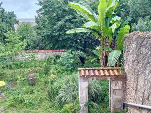 een plant bovenop een stenen muur in een tuin bij Le Vintage - 15 min FUTUROSCOPE in Poitiers