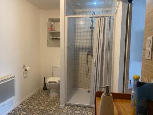 a bathroom with a shower and a toilet at La P’tite Maison de David in Saint-Hilaire +9 photos