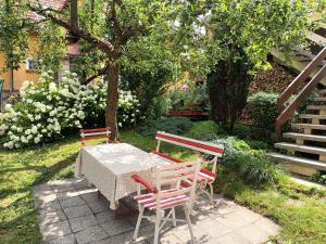 Zahrada ubytování Apartmán Barbora + 8 fotografií