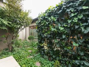 a garden with a large ivy covered wall at Parkhurst Cottage in Johannesburg