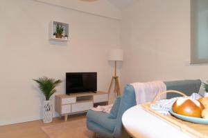 ein Wohnzimmer mit einem Sofa und einem TV in der Unterkunft Precioso ático en casco histórico in Burgos