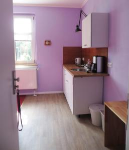 a kitchen with purple walls and a sink and a window at Die große Wohnung in Droyßig