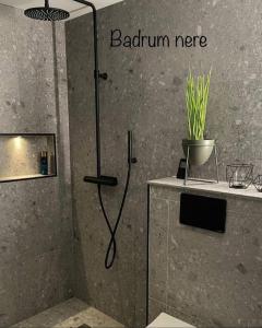 un bagno con box doccia e pianta di Stor modern villa med toppläge! a Kalmar
