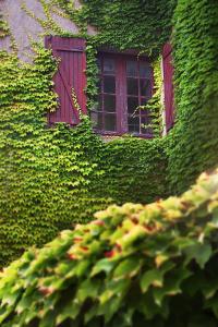 a window covered in green ivy with a red shutter at Hotel restaurant le top du Roulier in Capendu