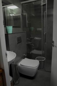 ein Bad mit einer Dusche, einem WC und einem Waschbecken in der Unterkunft Waves and Shores Beach Villa in Mararikulam
