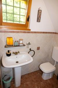 uma casa de banho com um lavatório e um WC em Apartment in Chalet Goldilocks em Zgornje Gorje