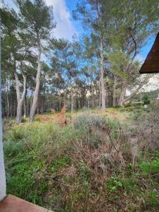uma vista para um campo com árvores e relva em A l'Orée des pins - Gite indépendant avec baignoire balnéo et Home Cinéma en sup - Voir info de l'hôte em Cuges-les-Pins
