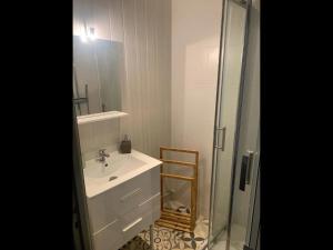 ein Bad mit einem Waschbecken und einer Glasdusche in der Unterkunft Appartement en plein cœur de Brest in Brest