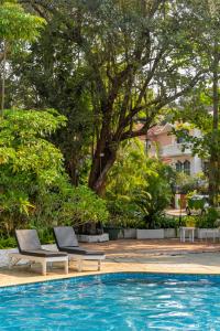 Bazén v ubytování Beachside Bliss Villas Candolim 10 min walk from Sinquerim Beach nebo v jeho okolí