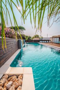 a swimming pool with blue water and a palm tree at Camping le Roucan West in Vias