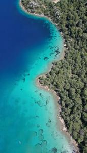 an aerial view of a beach and the ocean at Blue Time Boutique Hotel in Marmaris
