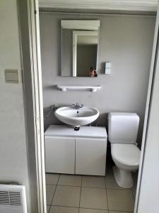 ein Badezimmer mit Waschbecken, Toilette und Spiegel in der Unterkunft Silver Lotus in De Haan
