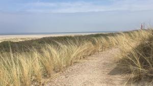 ein Feldweg durch hohes Gras neben einem Strand in der Unterkunft Silver Lotus in De Haan