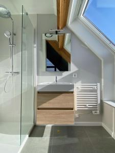 ein Badezimmer mit Dusche und Waschbecken in der Unterkunft Zandbank Villa's in Vrouwenpolder