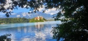 Fotografie z fotogalerie ubytování Apartma Panorama v Bledu