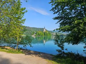 Fotografie z fotogalerie ubytování Apartma Panorama v Bledu