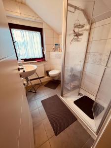 ein Bad mit einer Dusche, einem WC und einem Waschbecken in der Unterkunft Ferienwohnung Brinkmann 4**** mit Moselblick in Dieblich
