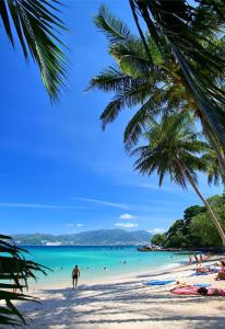 a palm tree on a beach with people in the water at BAOBAB in Patong Beach