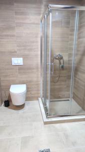 a bathroom with a shower and a toilet at Apartman Front in Šid