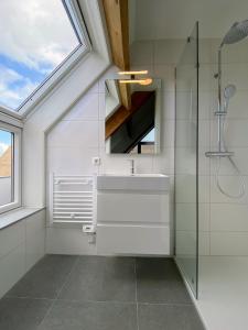 ein Badezimmer mit Waschbecken und Glasdusche in der Unterkunft Zandbank Villa's in Vrouwenpolder + 157 Fotos